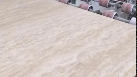 Mármol gris plateado/veta rellena pulida travertino/corte cruzado